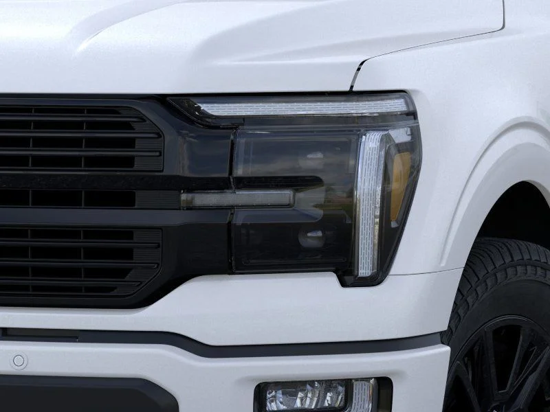 New 2026 White Ford Platinum image 19