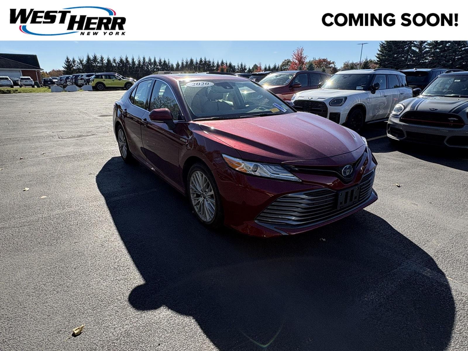 Used 2020 Ruby Flare Pearl Toyota XLE image 1