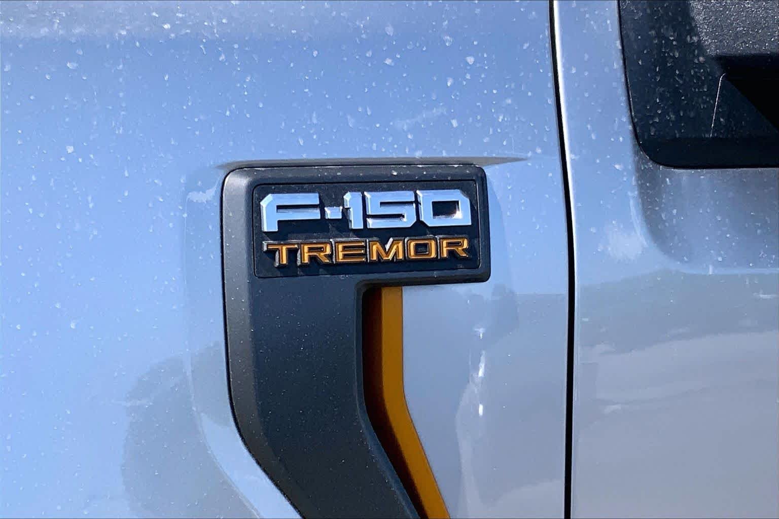 New 2026 Iconic Silver Metallic Ford Tremor® image 14