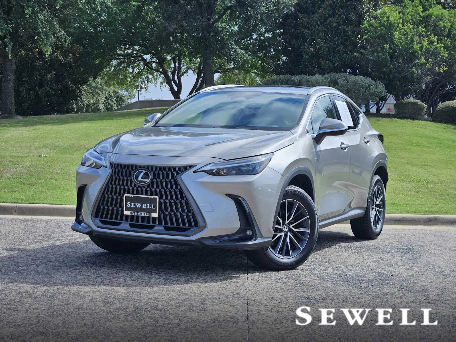 2024 Lexus NX 350 350 AWD's photo