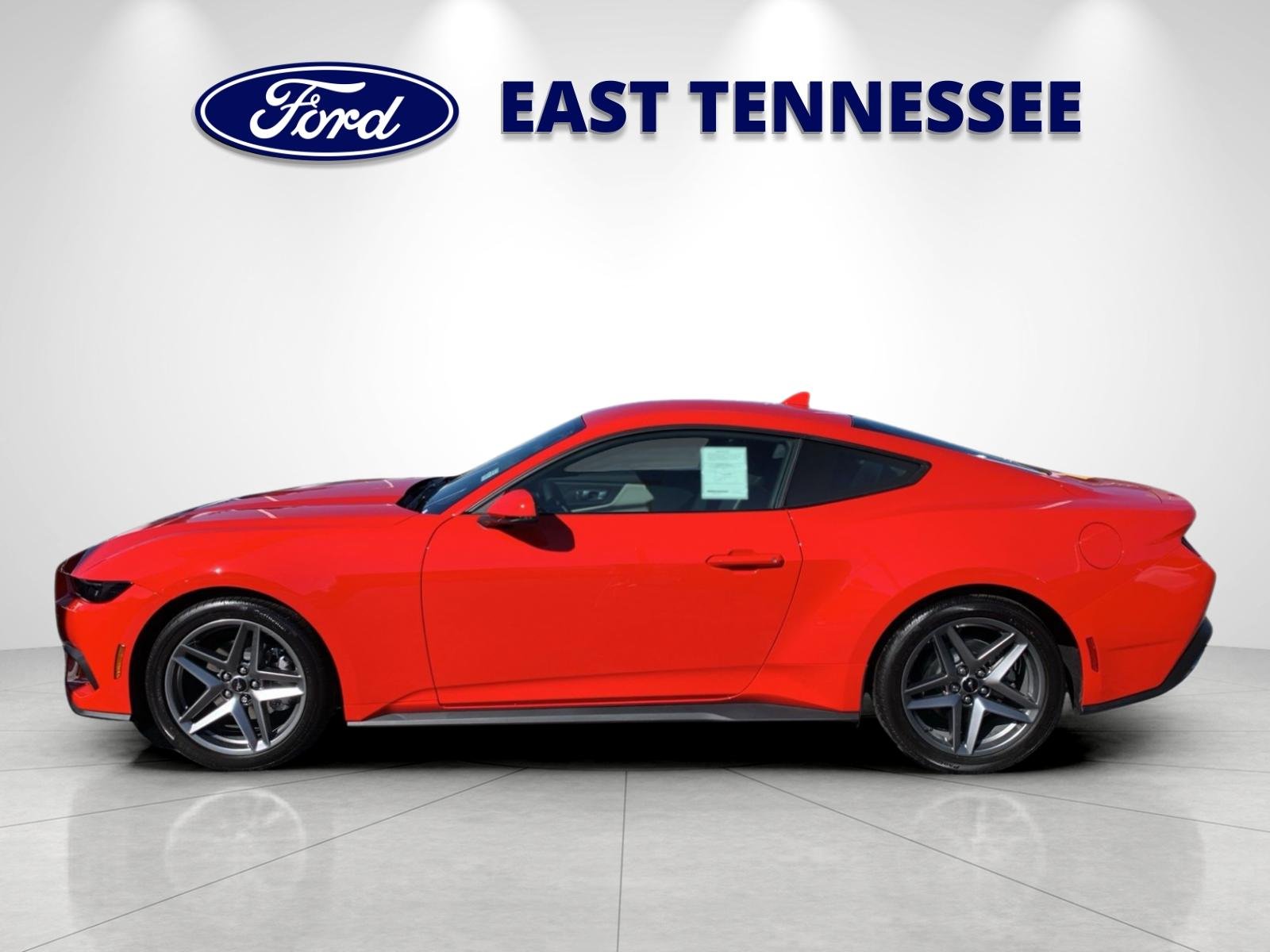 New 2026 Race Red Ford EcoBoost® Premium Fastback image 6