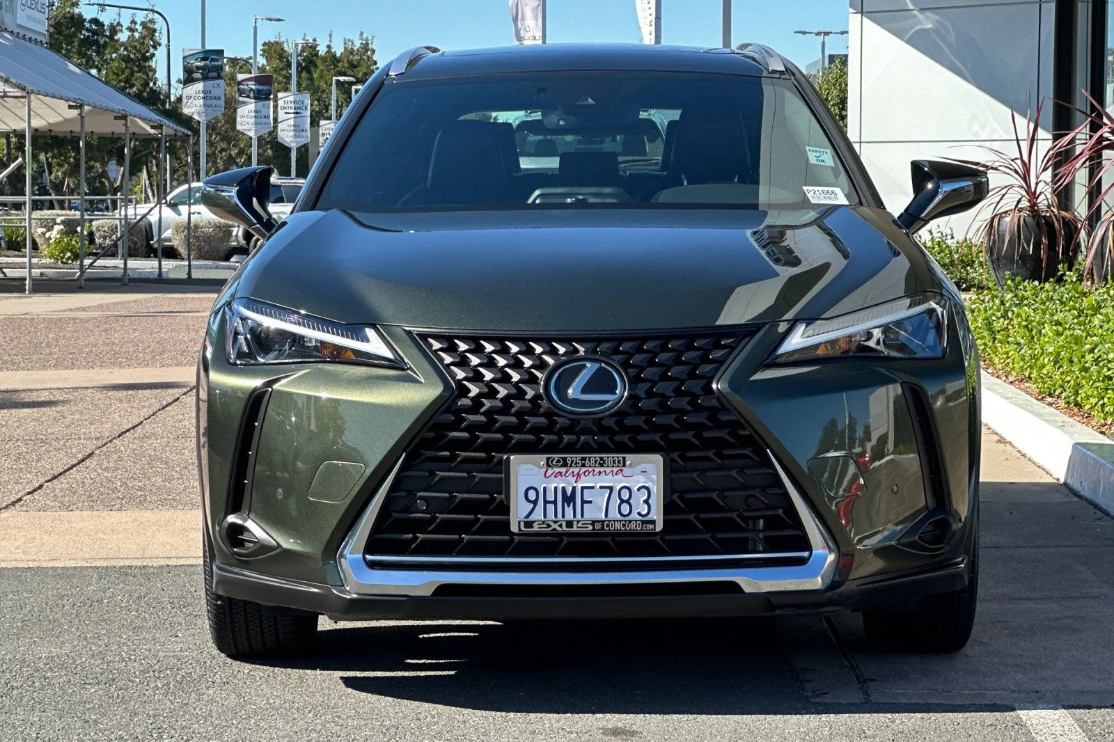 Used 2024 Green Pearl Lexus 250h Base image 6