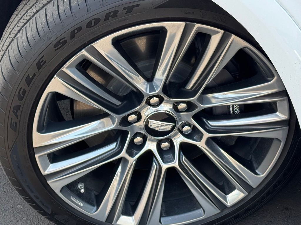 Used 2026 White Cadillac Platinum image 12