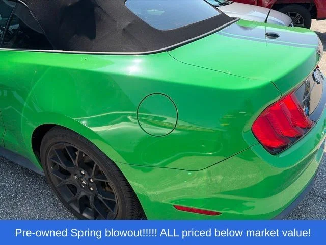 Used 2019 Green Ford EcoBoost Premium image 4