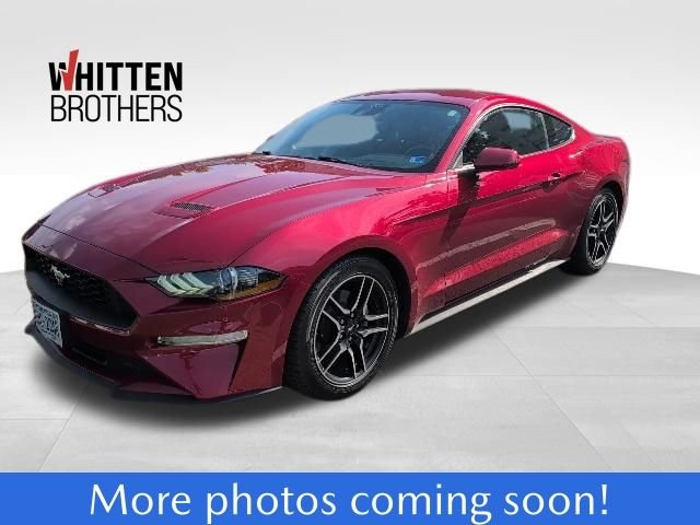2022 Ford Mustang EcoBoost