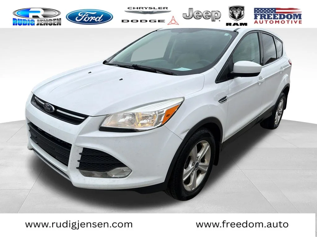 2014 Ford Escape SE 4WD's photo