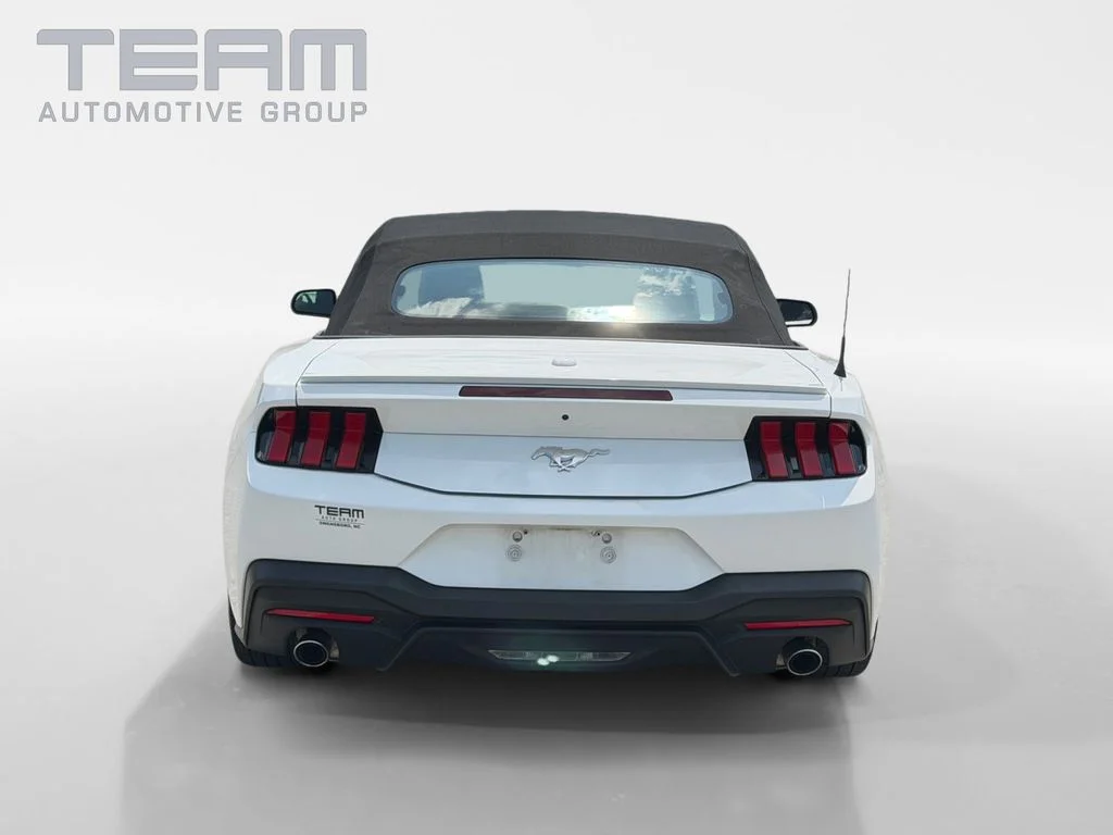 Used 2024 White Ford EcoBoost Premium image 6