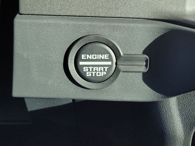 New 2026 Oxford White Ford Raptor® image 14