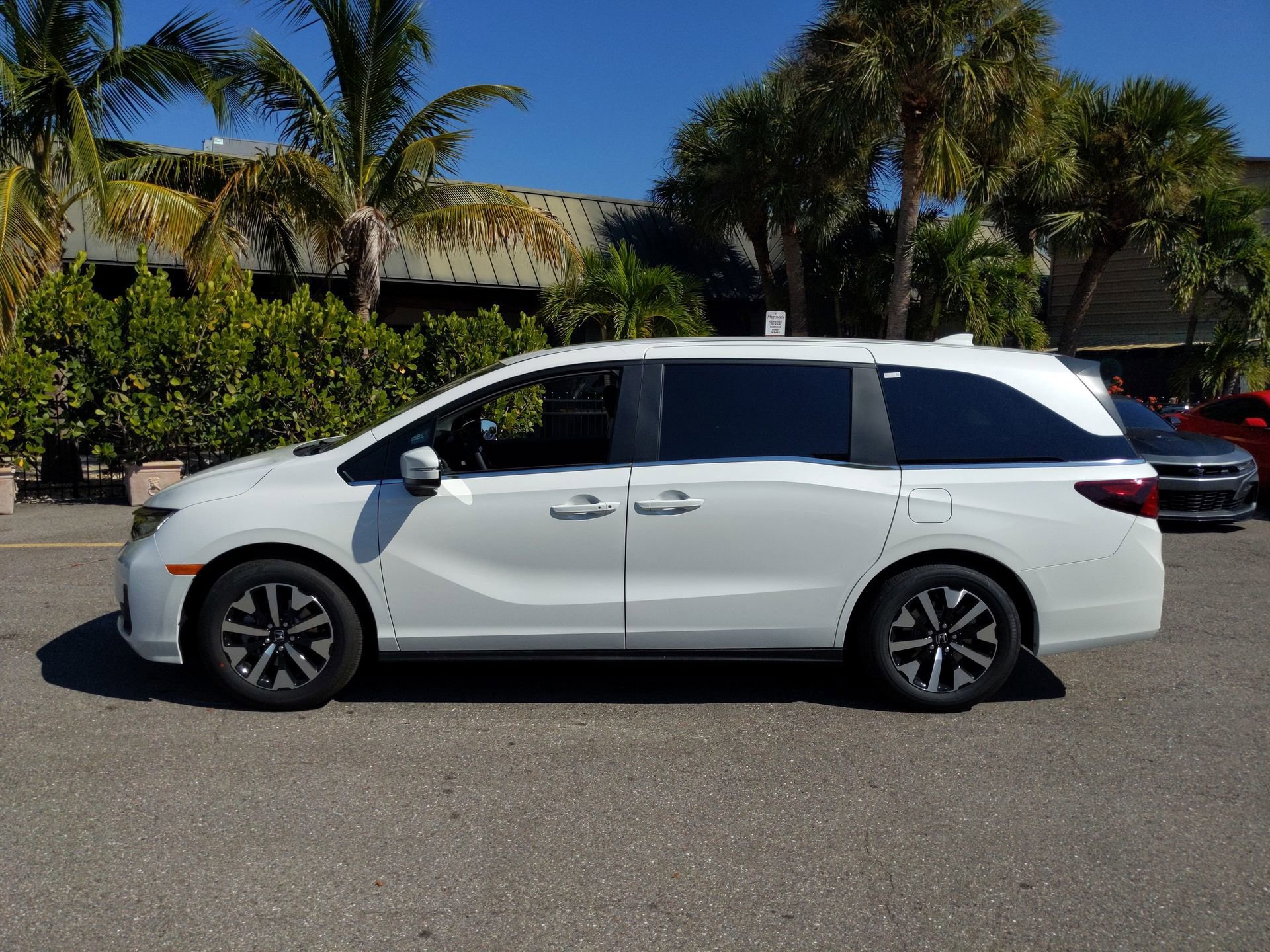 New 2026 Platinum White Pearl Honda EX-L image 9