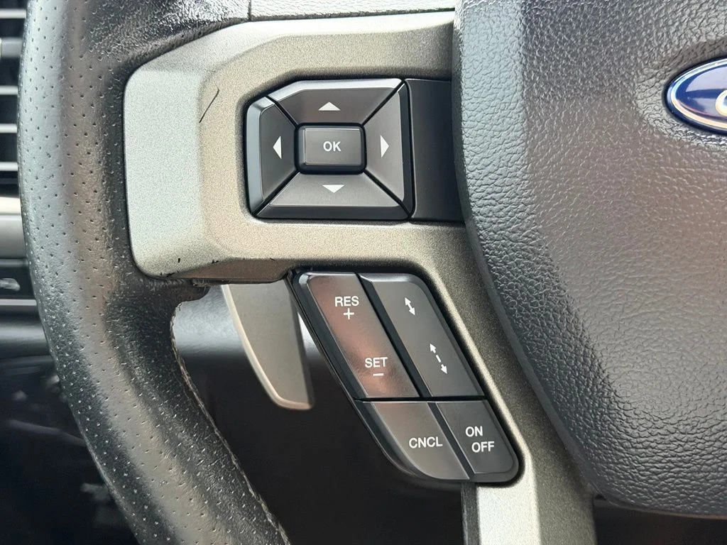 Used 2020 Gray Ford Raptor image 18