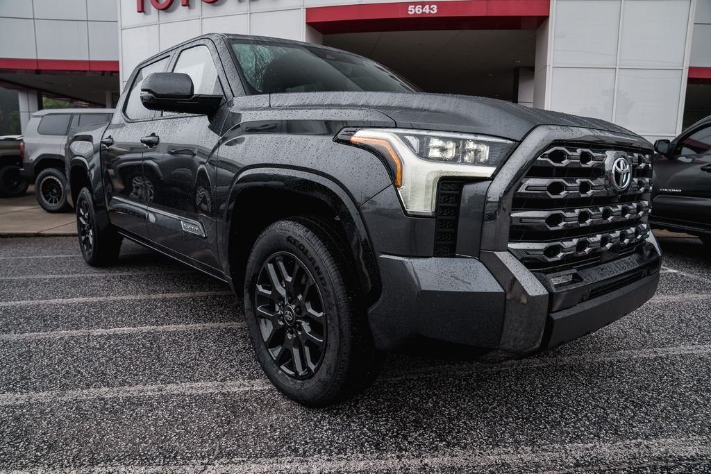 New 2026 Magnetic Gray Metallic Toyota Platinum image 10