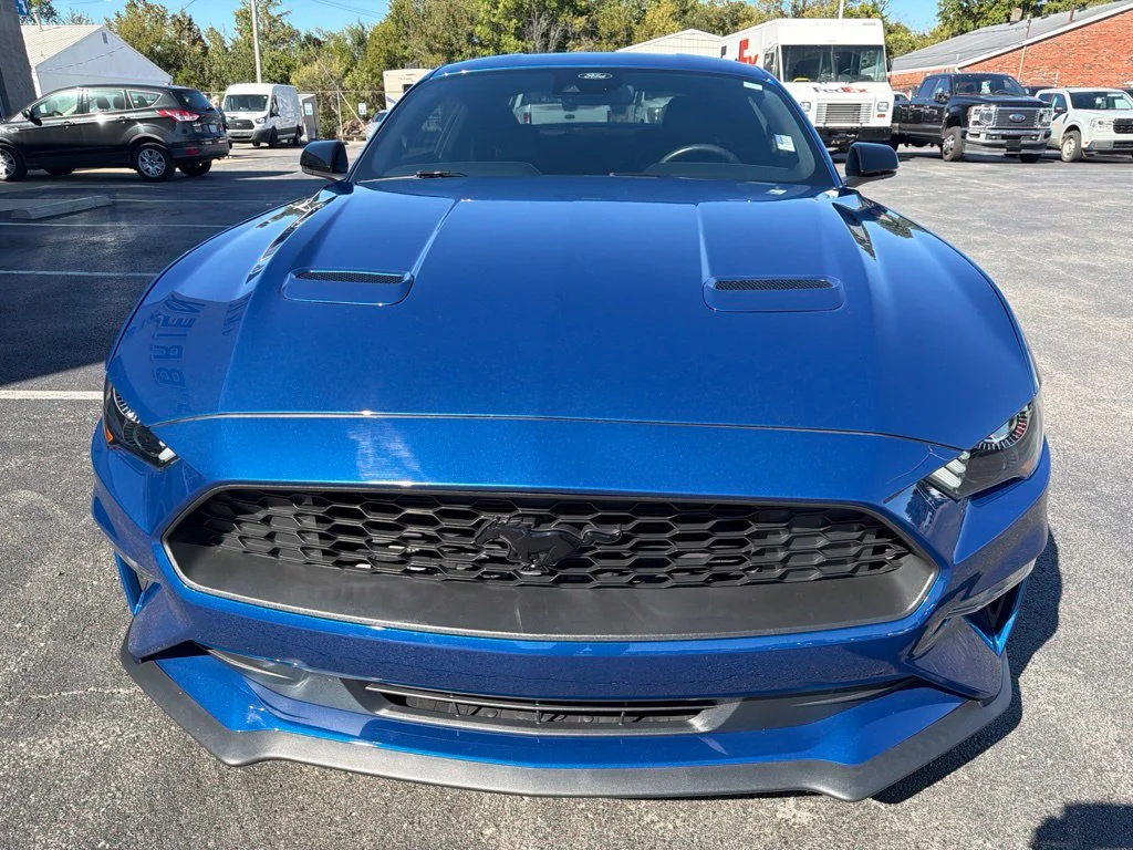 Used 2023 Atlas Blue Metallic Ford EcoBoost Premium image 8