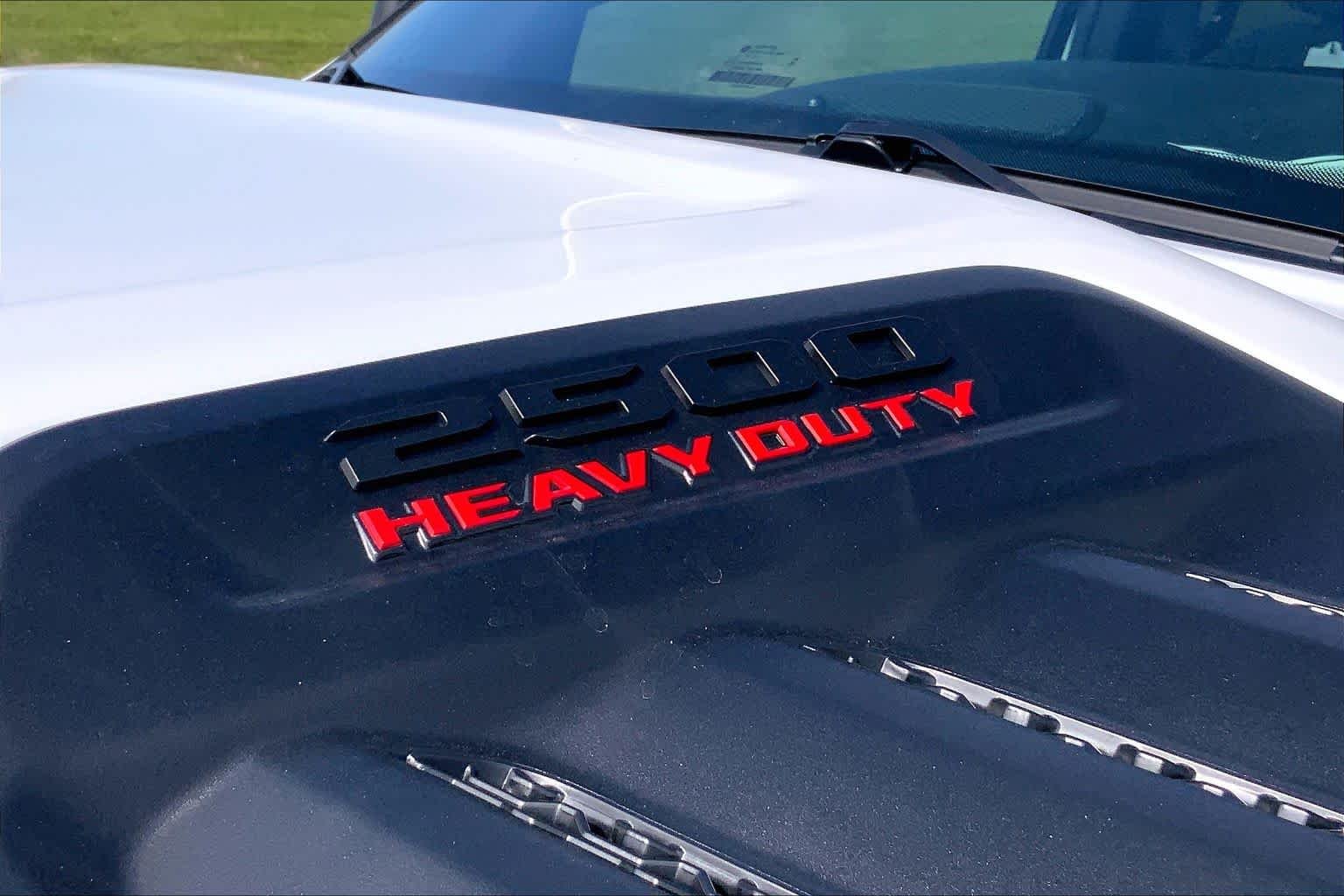 New 2026 Bright White Clear-Coat Exterior Paint RAM Black Express image 15