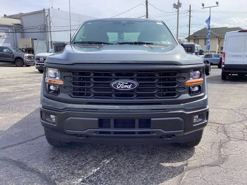 New 2026 Gray Ford STX image 2