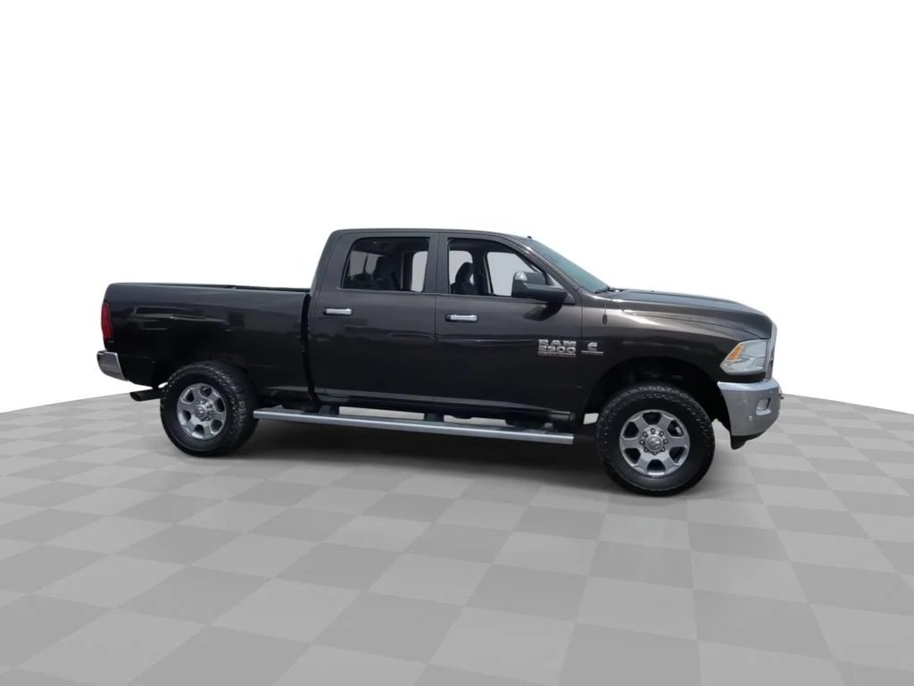 Used 2017 Brown Ram Lone Star image 9
