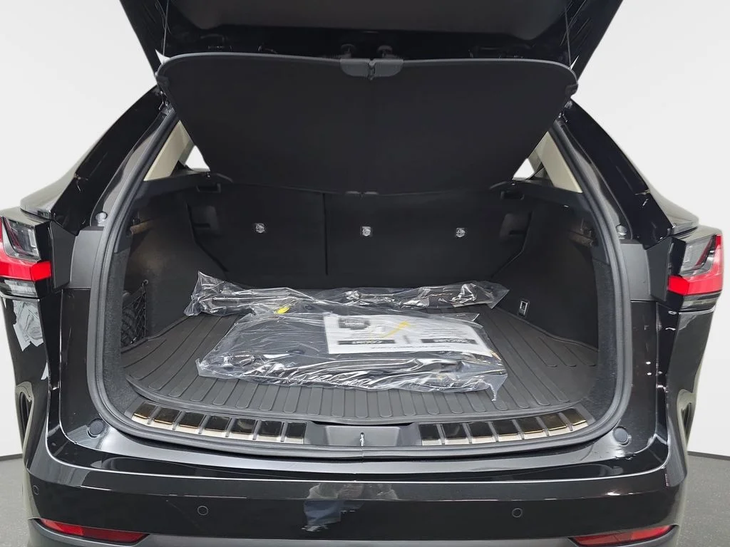 New 2026 Caviar Lexus PREMIUM image 12