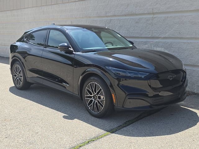 Used 2026 Black Ford Premium image 14