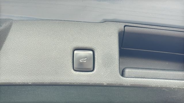 Used 2024 Blue Ford Platinum image 14