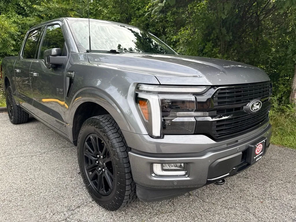 Used 2024 Gray Ford Platinum image 3