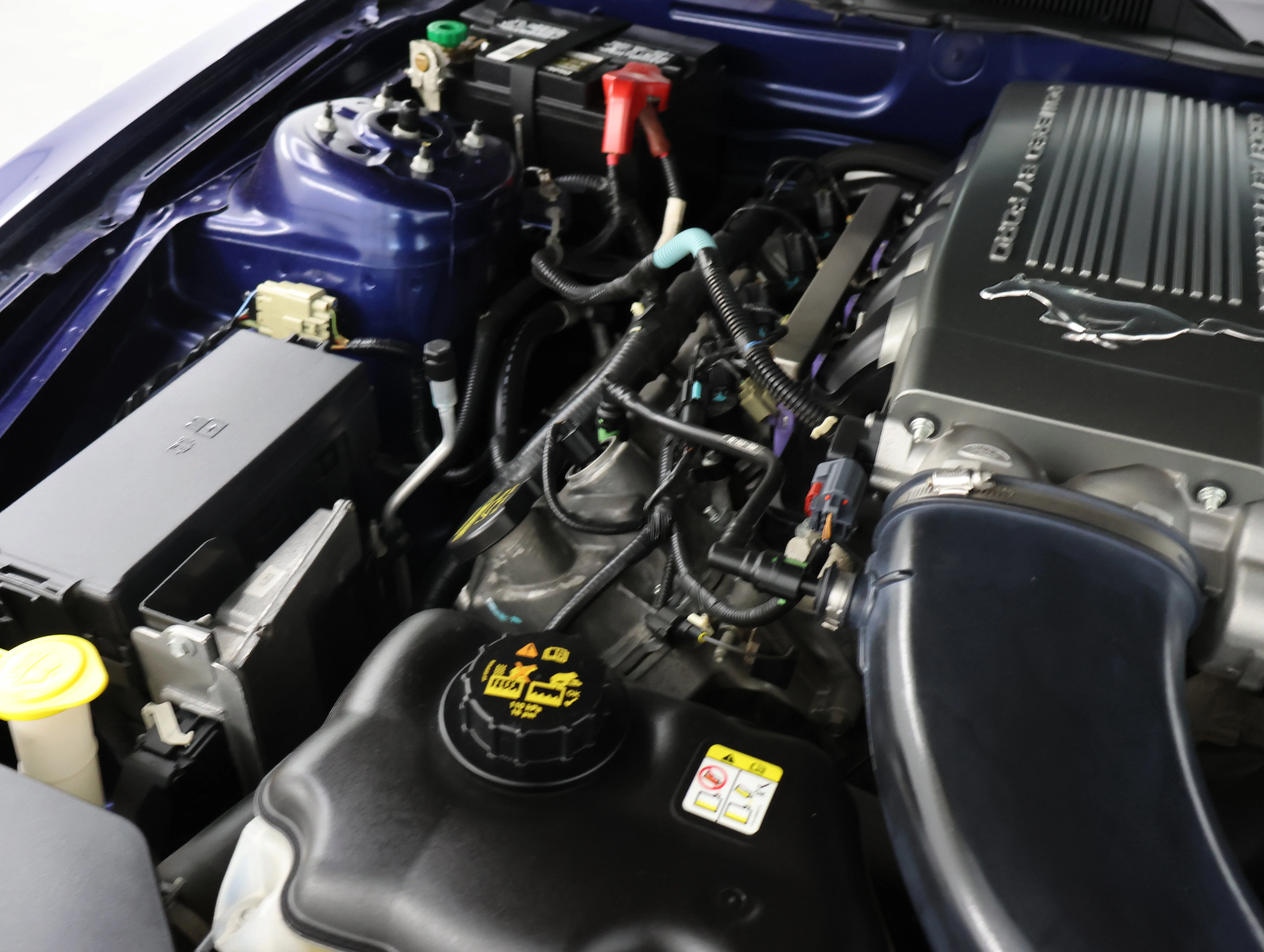 Used 2010 Kona Blue Metallic Ford GT Premium image 17