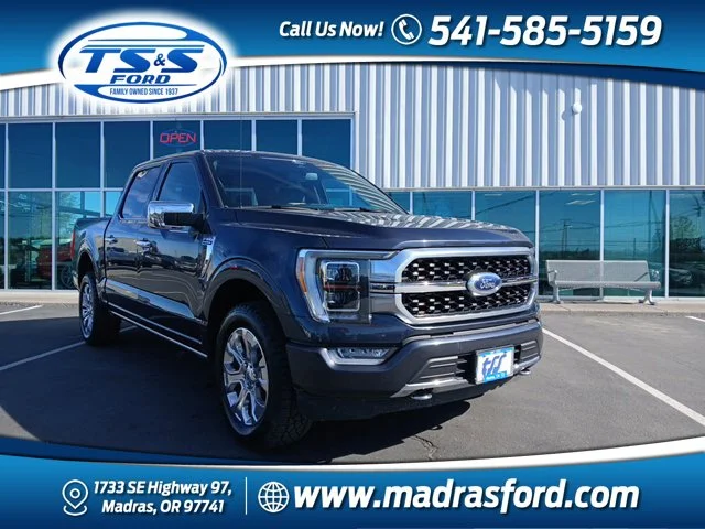 Used 2021  Ford Platinum image 1