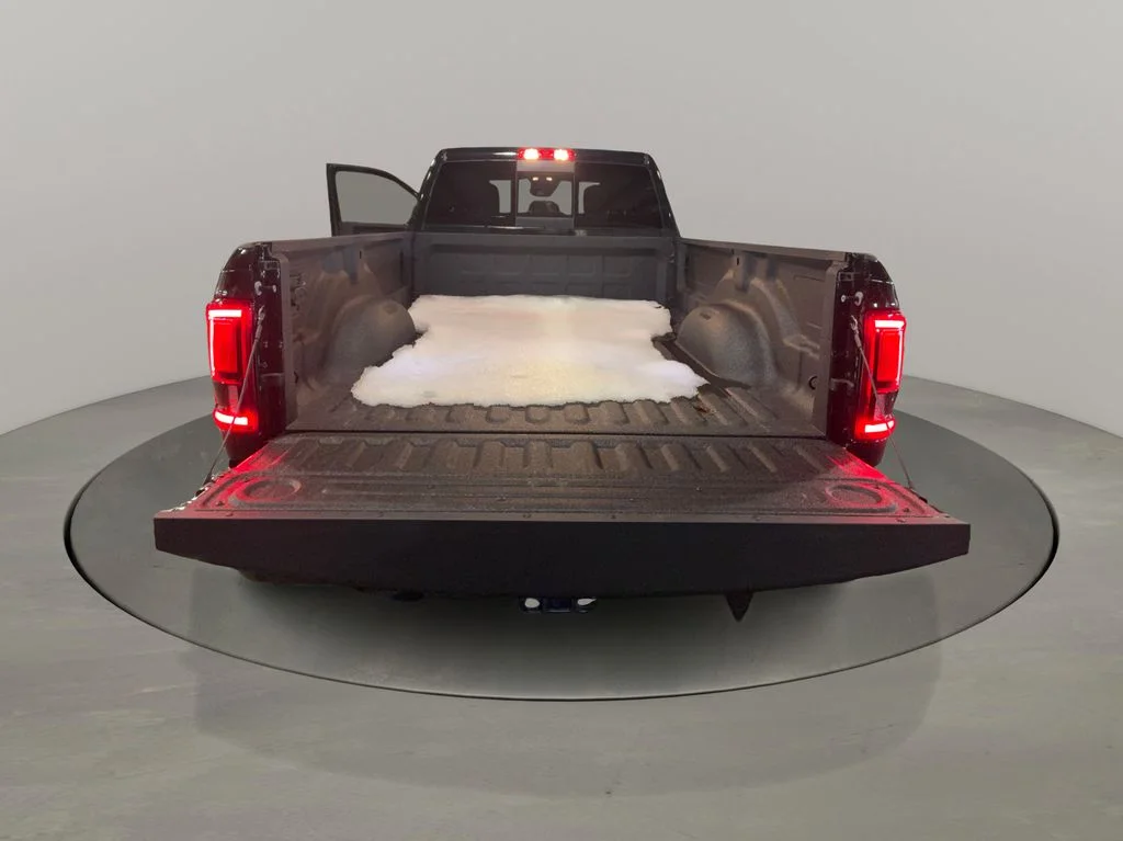 New 2026 Diamond Black Crystal Pearl-Coat Exterior Paint RAM Tradesman image 19