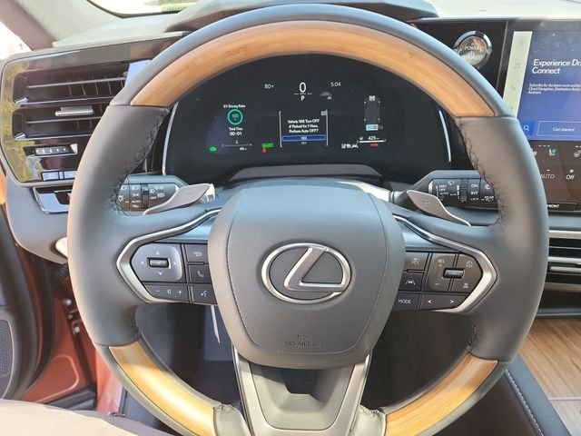 2025 Lexus RX - Photo 14
