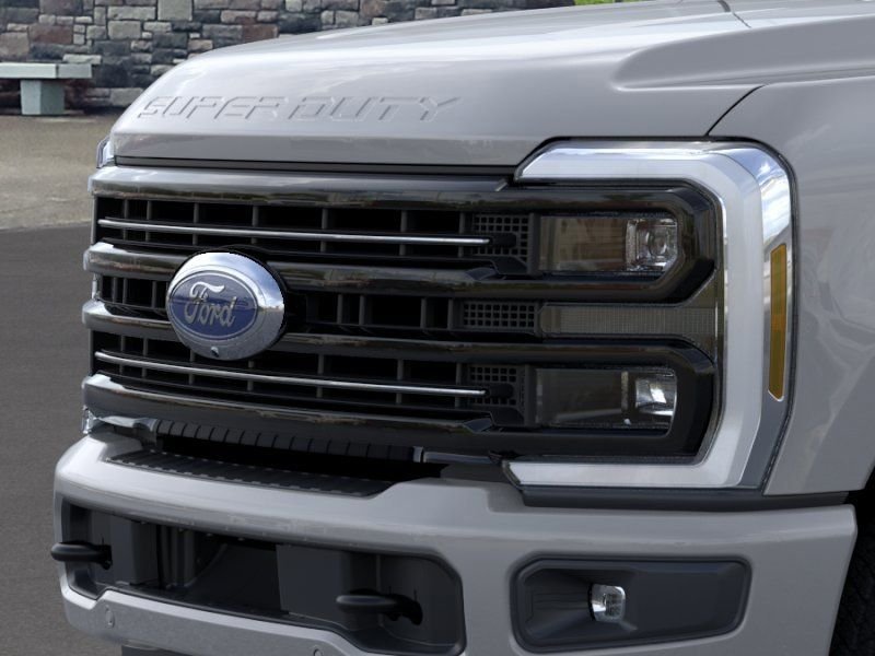 New 2025 White Ford Platinum image 18