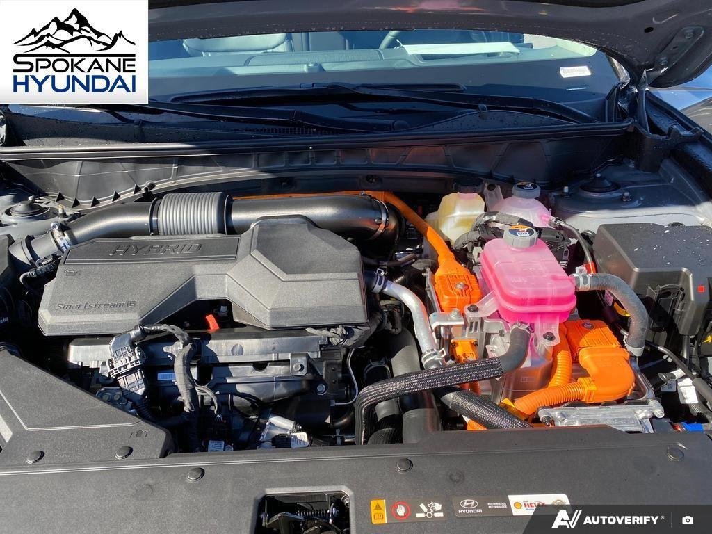 New 2026 Ecotronic Gray Hyundai Limited image 13