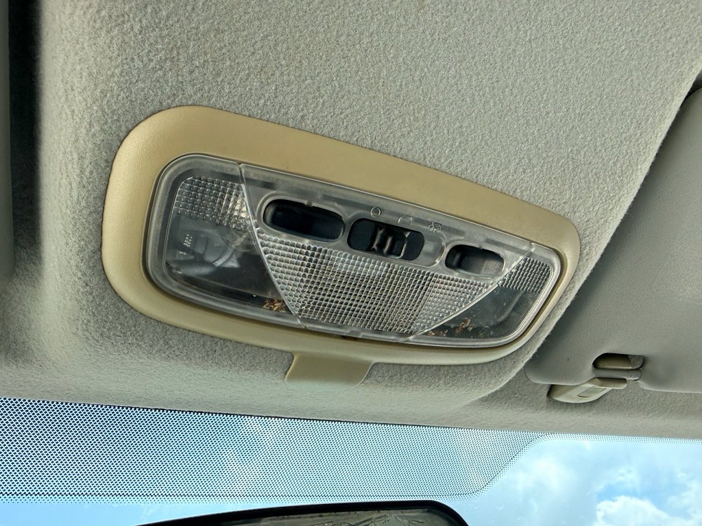 Used 2006 Infra-Red Clearcoat Ford SE image 30