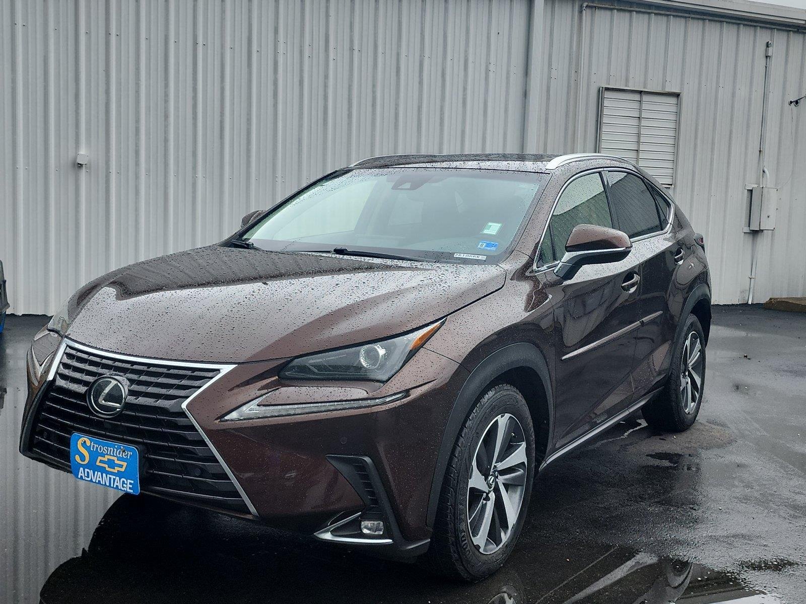 2019 Lexus NX