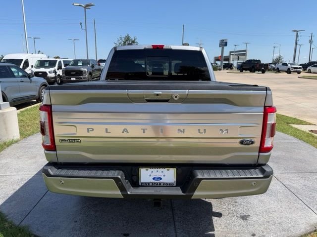 Used 2022 Silver Ford Platinum image 5