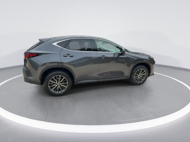 2025 Lexus NX 250 - Photo 8