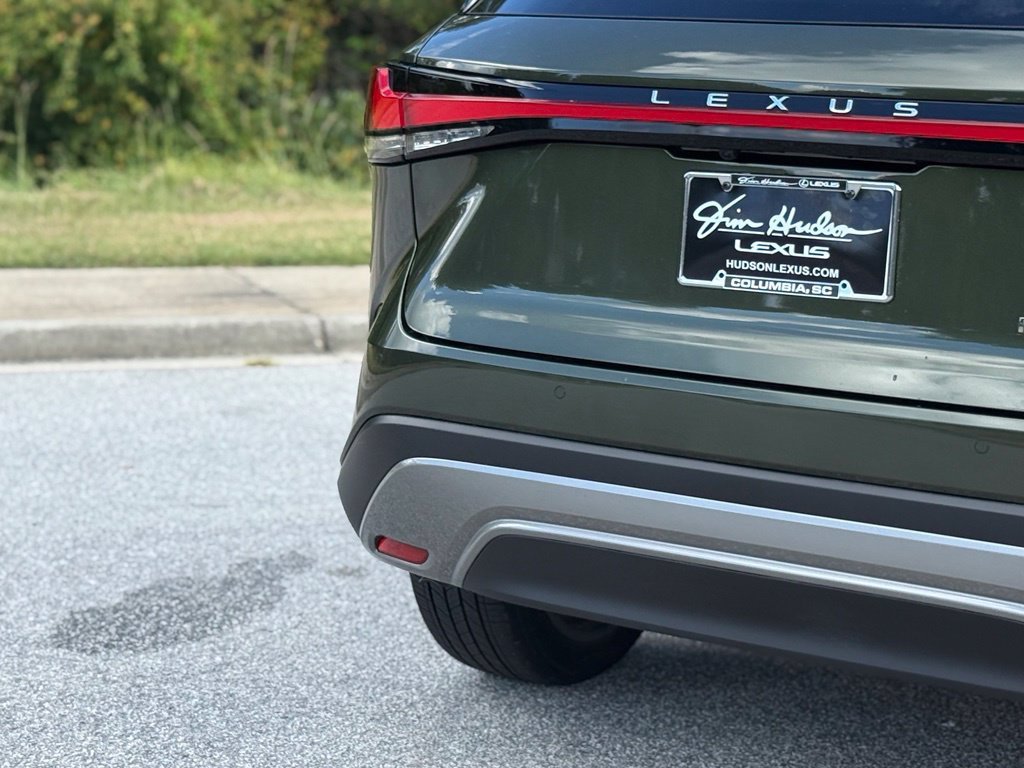 2025 Lexus RX 350 - Photo 14