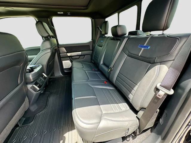 New 2026 Black Metallic Ford Platinum image 17