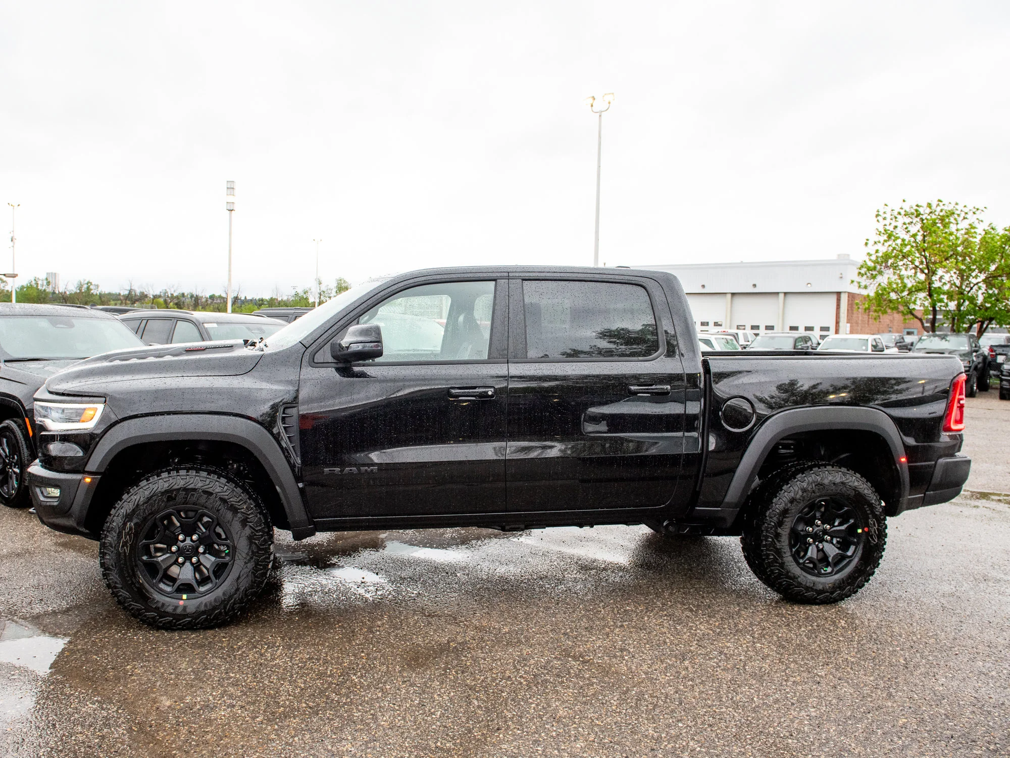 New 2026 Black RAM RHO* image 3