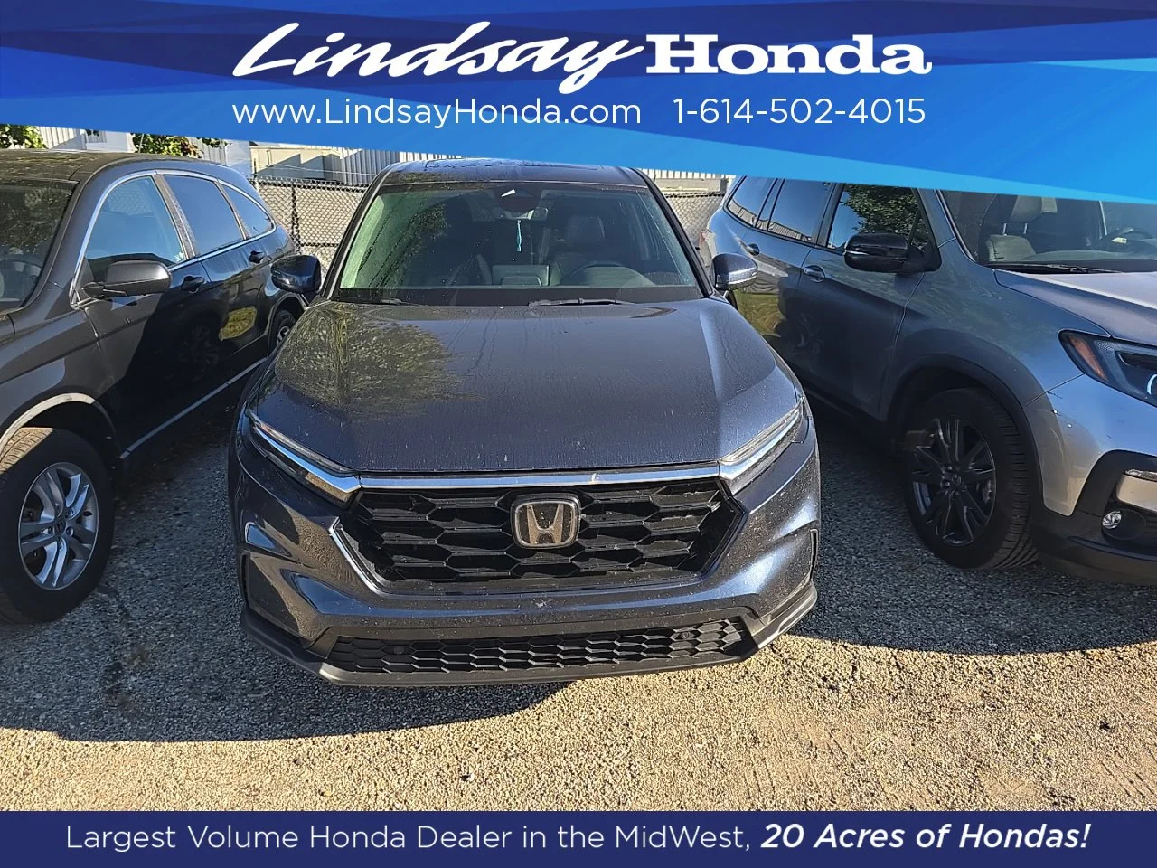 Used 2024 Canyon River Blue Metallic Honda EX-L image 2