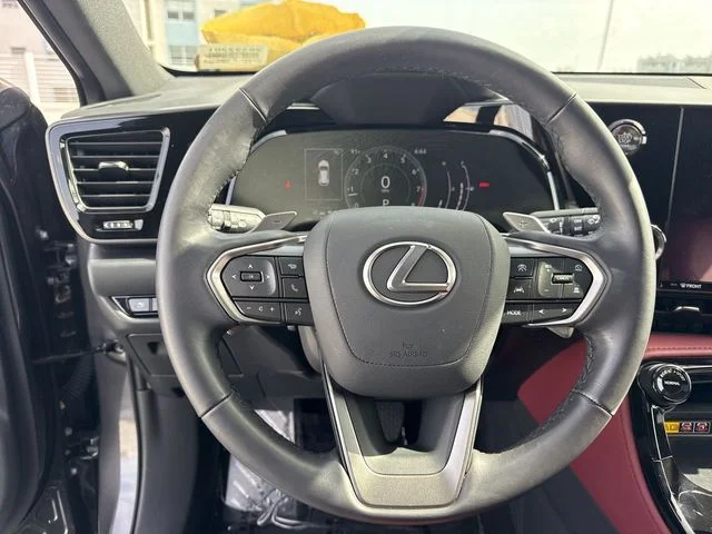 Used 2025 Gray Lexus 250 Premium image 14