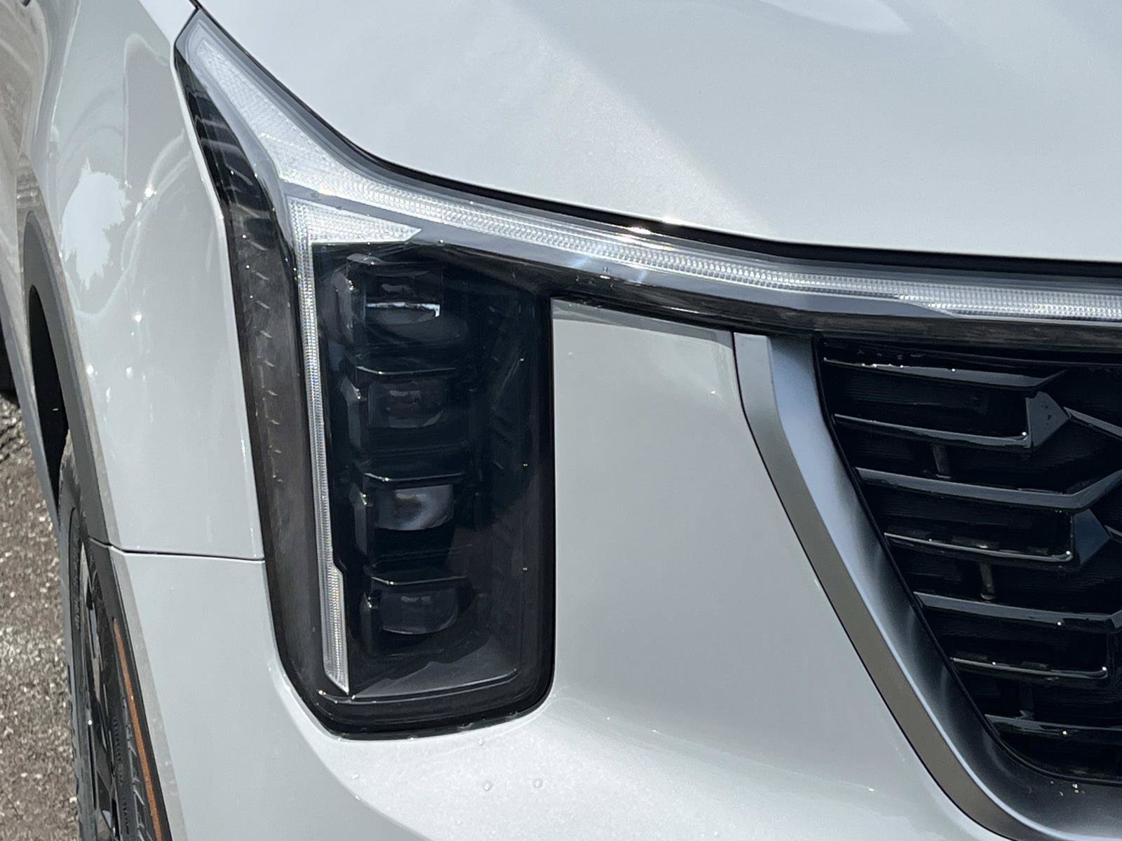 New 2026 Wolf Gray Kia S image 9