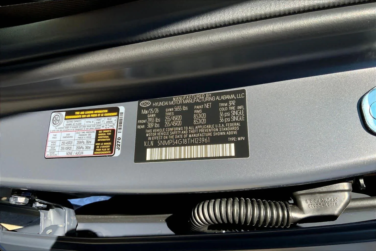 New 2026 Ecotronic Gray Matte Hyundai Calligraphy image 19