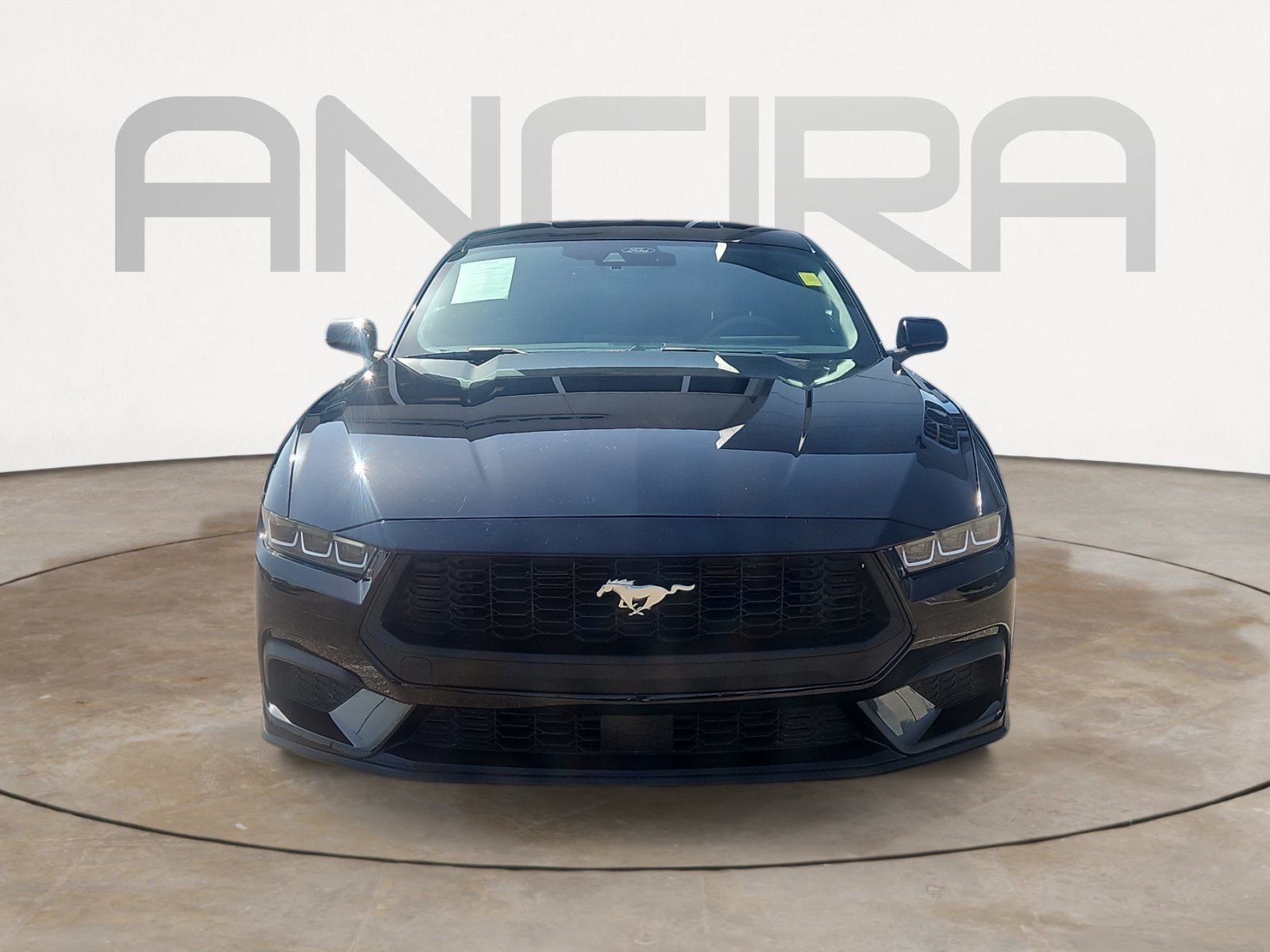 Used 2024 Shadow Black Ford EcoBoost image 3