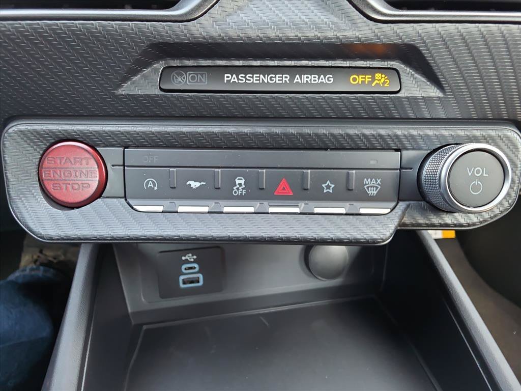 New 2026 Avalanche Gray Ford EcoBoost® Fastback image 24