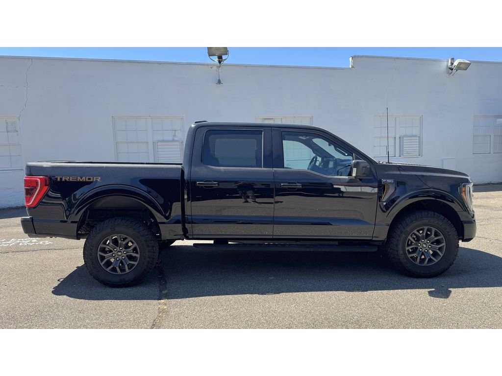 2021 Ford F-150 Tremor - Photo 10