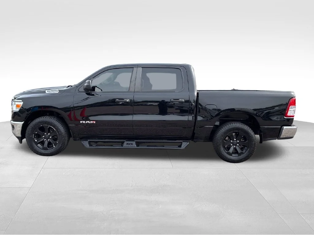 Used 2019 Black Ram Tradesman image 2