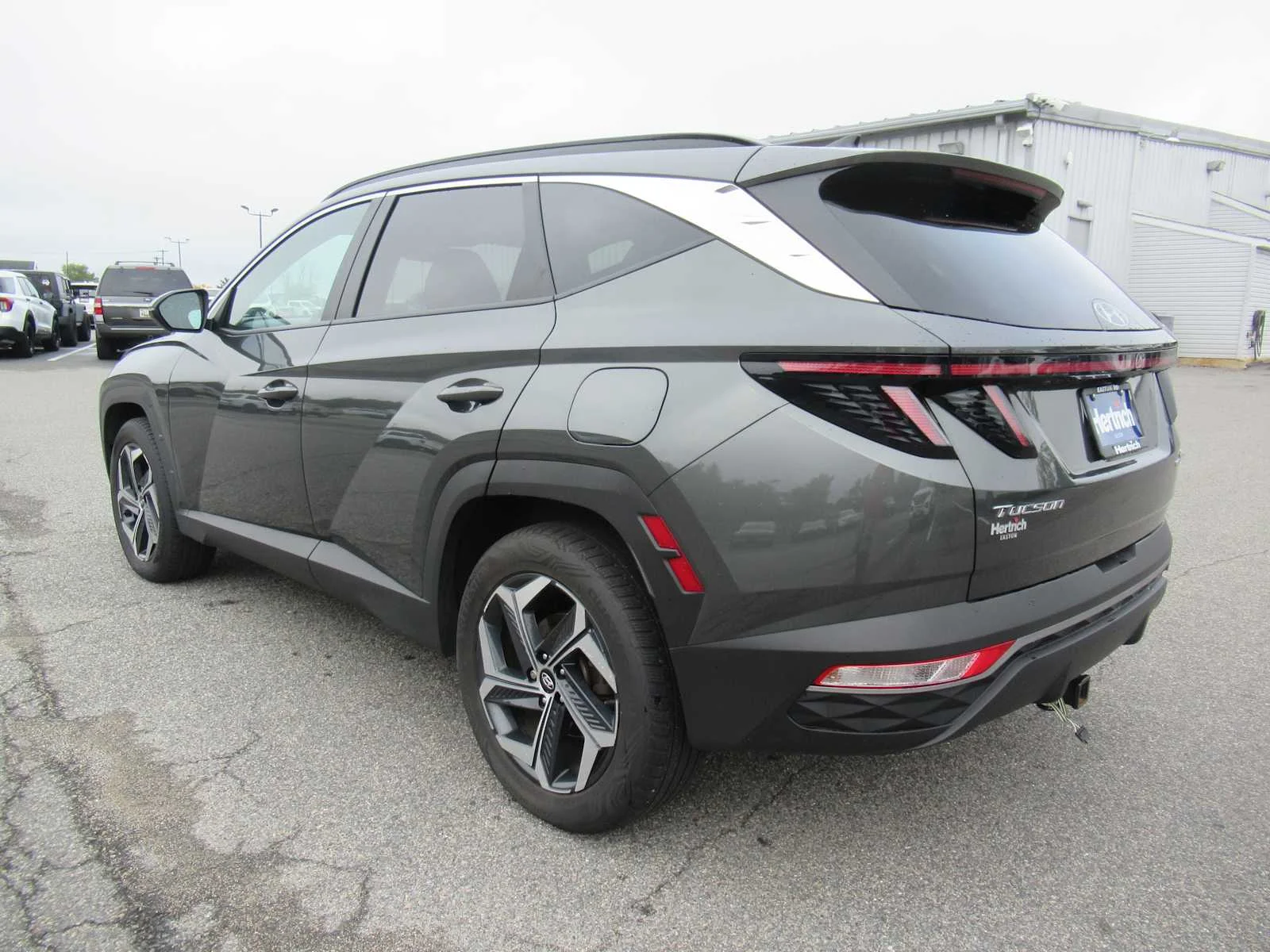 Used 2024 Amazon Gray Hyundai SEL Convenience image 7