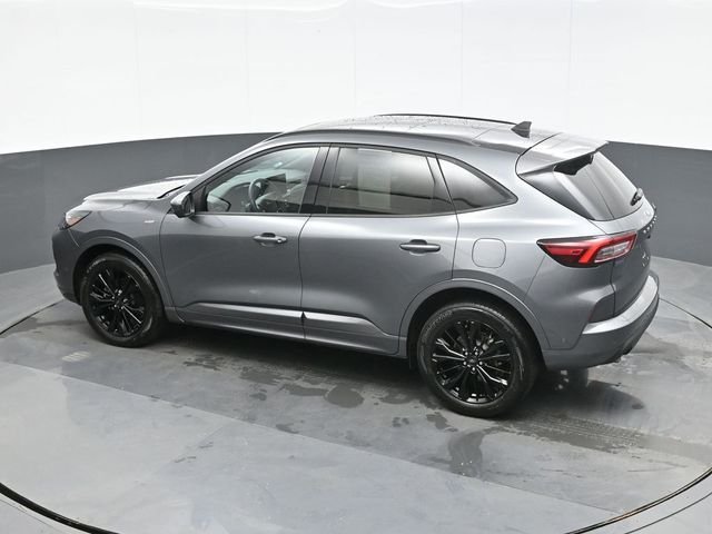 Used 2024 Gray Ford ST-Line Elite image 11