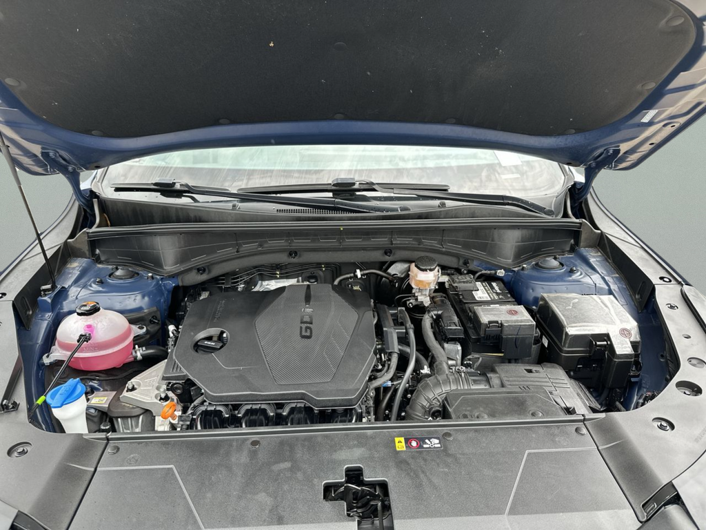 Used 2025 Black Kia S image 39