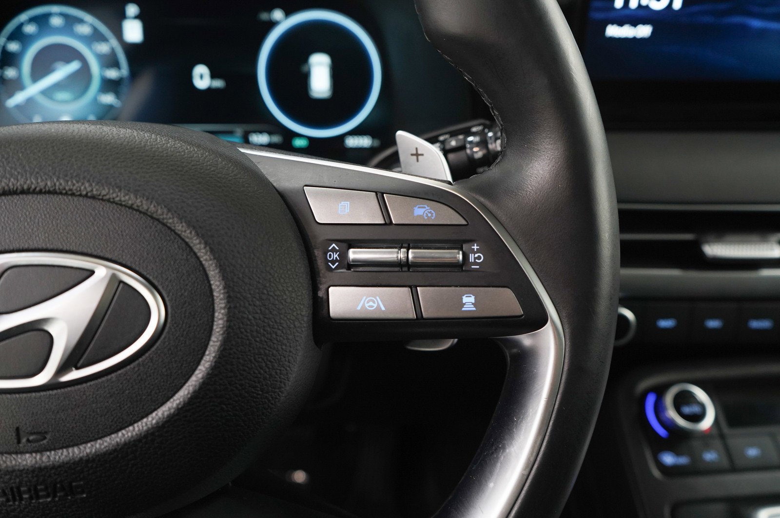 2025 Hyundai Palisade Limited - Photo 21