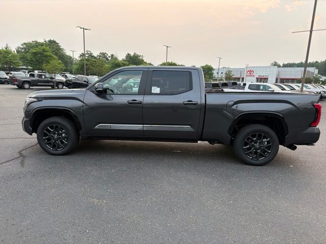 New 2026 Magnetic Gray Metallic Toyota  Platinum image 9