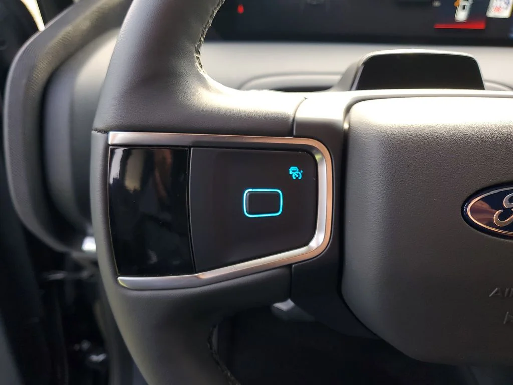 2025 Ford Expedition Active - Photo 12